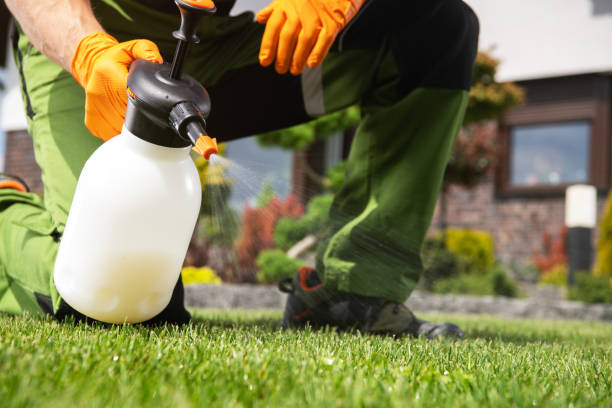 Best Ant Control Services  in Lower Grand Lagoon, FL